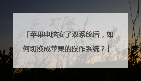 苹果电脑安了双系统后,如何切换成苹果的操作系统?