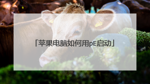 苹果电脑如何用pE启动