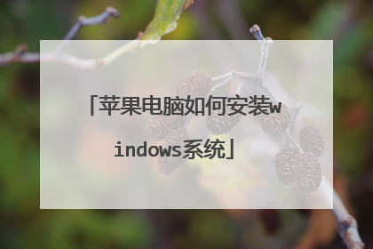 苹果电脑如何安装windows系统