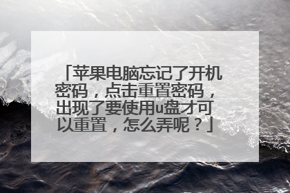 苹果电脑忘记了开机密码,点击重置密码,出现了要使用u盘才可以重置,怎么弄呢?