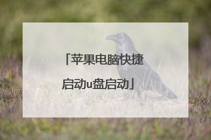 苹果电脑快捷启动u盘启动
