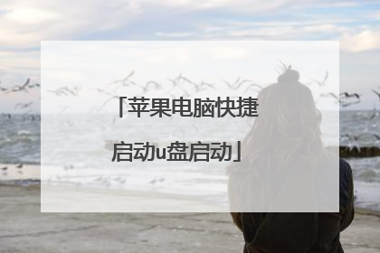 苹果电脑快捷启动u盘启动