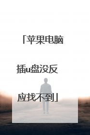 苹果电脑插u盘没反应找不到
