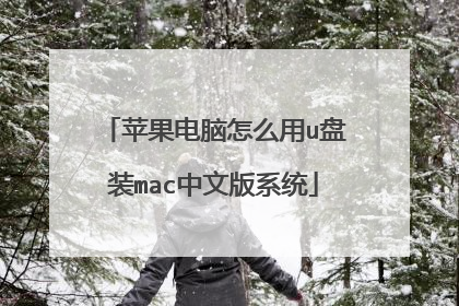 苹果电脑怎么用u盘装mac中文版系统