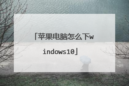 苹果电脑怎么下windows10