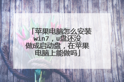 苹果电脑怎么安装win7，u盘还没做成启动盘，在苹果电脑上能做吗