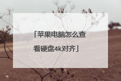 苹果电脑怎么查看硬盘4k对齐