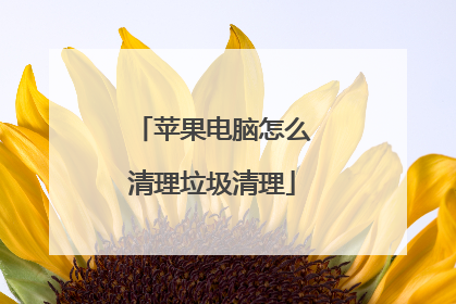 苹果电脑怎么清理垃圾清理