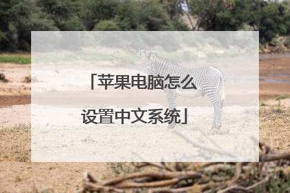 苹果电脑怎么设置中文系统