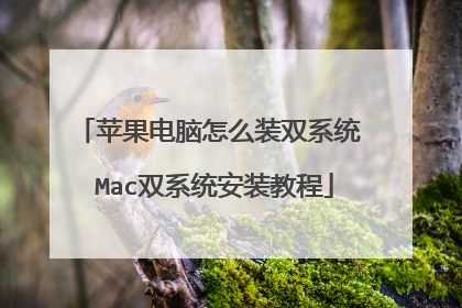 苹果电脑怎么装双系统 Mac双系统安装教程
