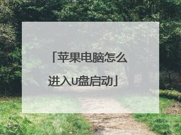 苹果电脑怎么进入U盘启动