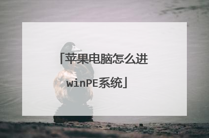 苹果电脑怎么进winPE系统
