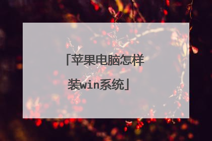 苹果电脑怎样装win系统