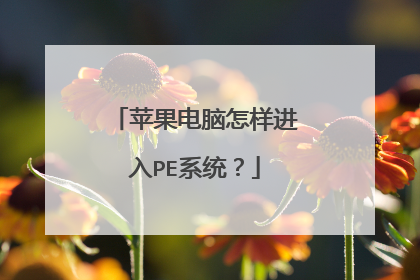 苹果电脑怎样进入PE系统?
