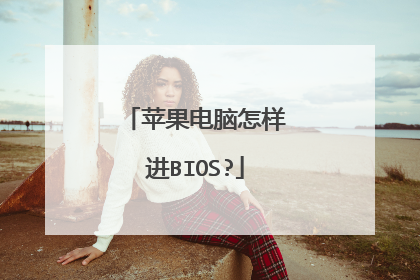 苹果电脑怎样进BIOS?