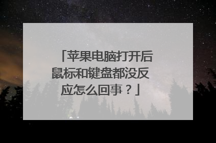 苹果电脑打开后鼠标和键盘都没反应怎么回事?