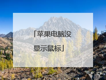 苹果电脑没显示鼠标