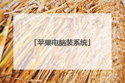 苹果电脑装系统