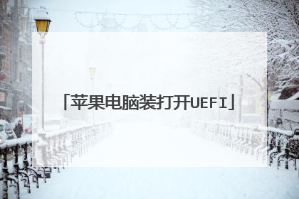 苹果电脑装打开UEFI
