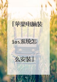 苹果电脑装ios系统怎么安装