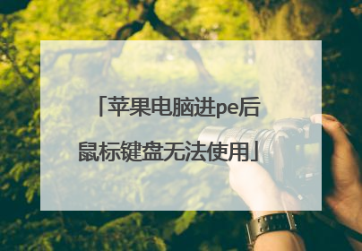 苹果电脑进pe后鼠标键盘无法使用