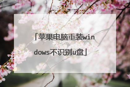 苹果电脑重装windows不识别u盘