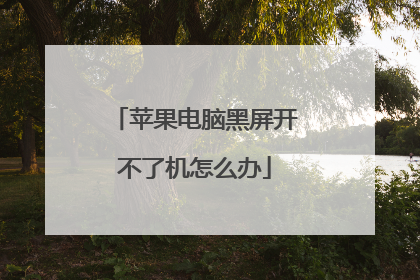 苹果电脑黑屏开不了机怎么办