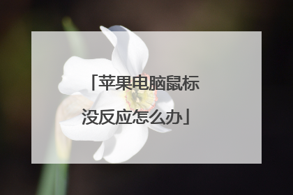 苹果电脑鼠标没反应怎么办