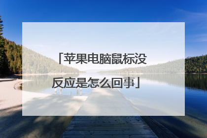 苹果电脑鼠标没反应是怎么回事