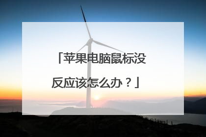苹果电脑鼠标没反应该怎么办？