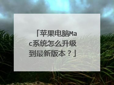 苹果电脑Mac系统怎么升级到最新版本?