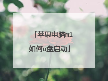 苹果电脑m1如何u盘启动