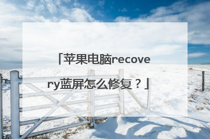 苹果电脑recovery蓝屏怎么修复?