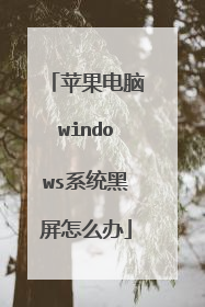 苹果电脑windows系统黑屏怎么办