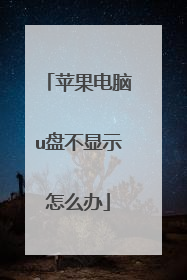 苹果电脑u盘不显示怎么办