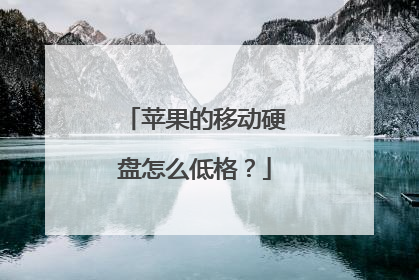 苹果的移动硬盘怎么低格?