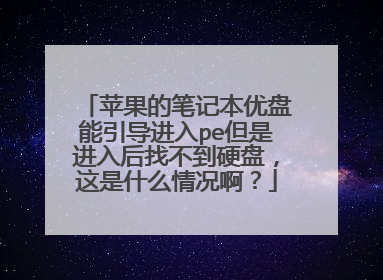 苹果的笔记本优盘能引导进入pe但是进入后找不到硬盘，这是什么情况啊？