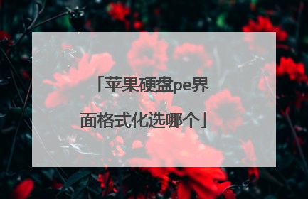 苹果硬盘pe界面格式化选哪个