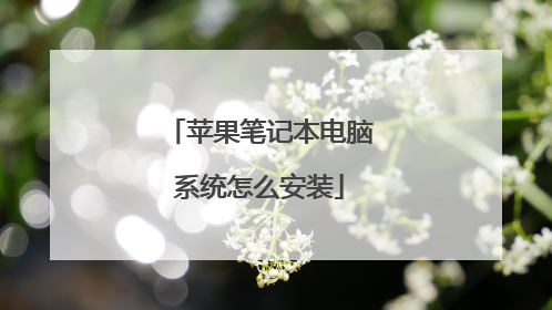 苹果笔记本电脑系统怎么安装