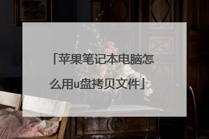 苹果笔记本电脑怎么用u盘拷贝文件