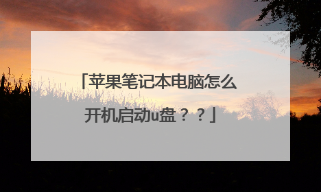 苹果笔记本电脑怎么开机启动u盘??