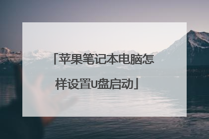 苹果笔记本电脑怎样设置U盘启动