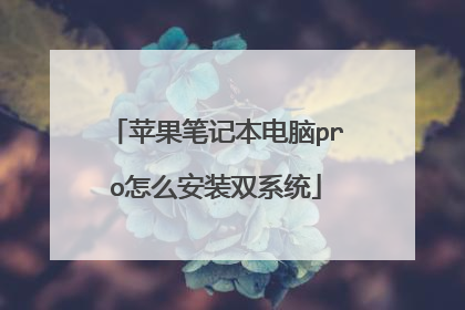 苹果笔记本电脑pro怎么安装双系统