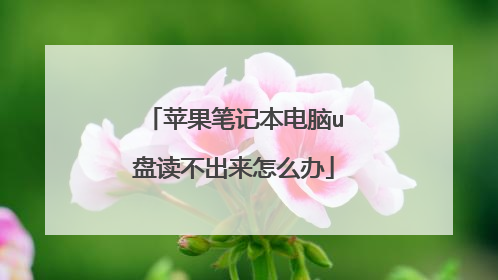 苹果笔记本电脑u盘读不出来怎么办