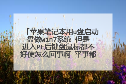 苹果笔记本用u盘启动盘做win7系统 但是进入PE后键盘鼠标都不好使怎么回事啊 平事都好事 我是给