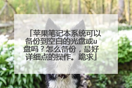 苹果笔记本系统可以备份到空白的光盘或u盘吗?怎么备份,最好详细点的操作。跪求