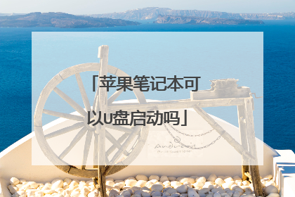 苹果笔记本可以U盘启动吗