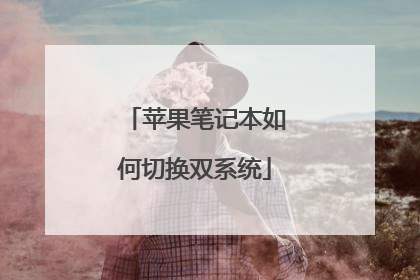 苹果笔记本如何切换双系统