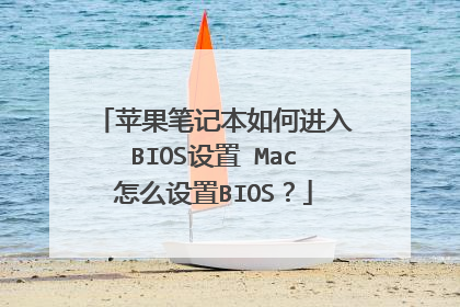 苹果笔记本如何进入BIOS设置 Mac怎么设置BIOS?