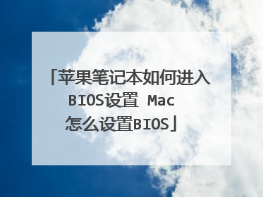 苹果笔记本如何进入BIOS设置 Mac怎么设置BIOS